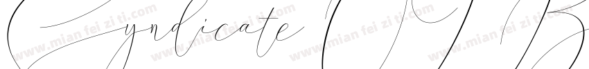 Syndicate OT Bold字体转换